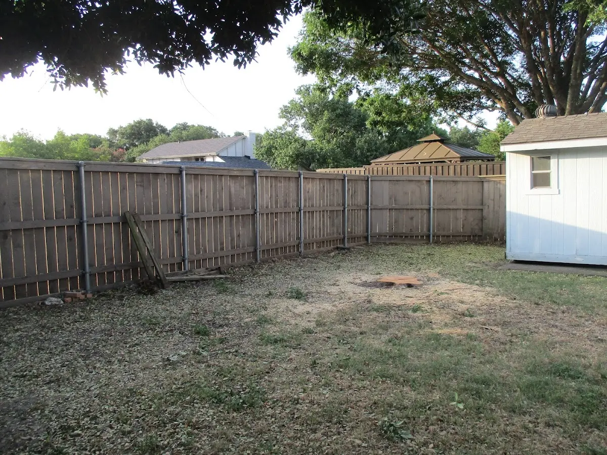 Cleared yard after professional tree removal in East Sandwich